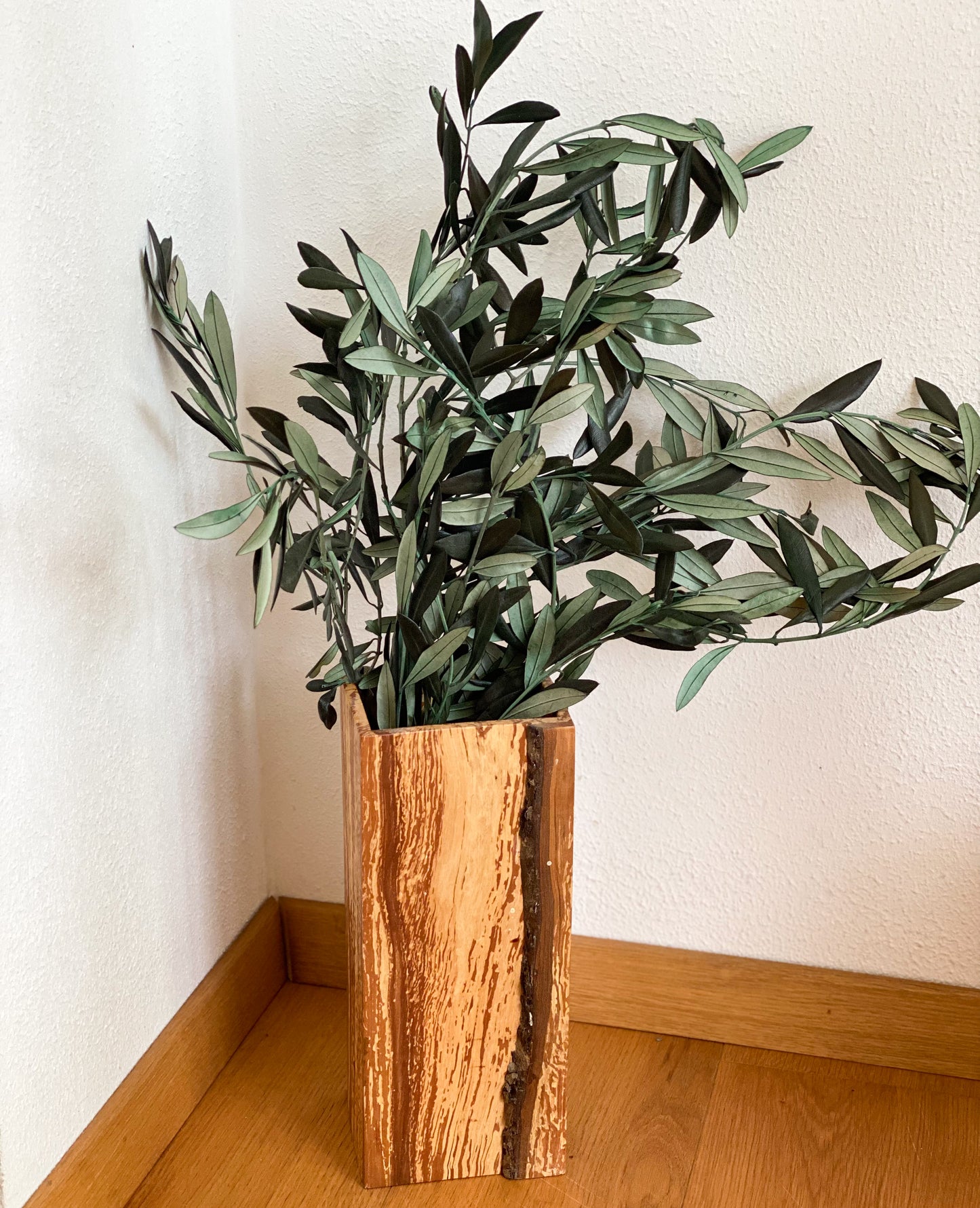 Konservierte Olivenzweige, Olive als Trockenblumen