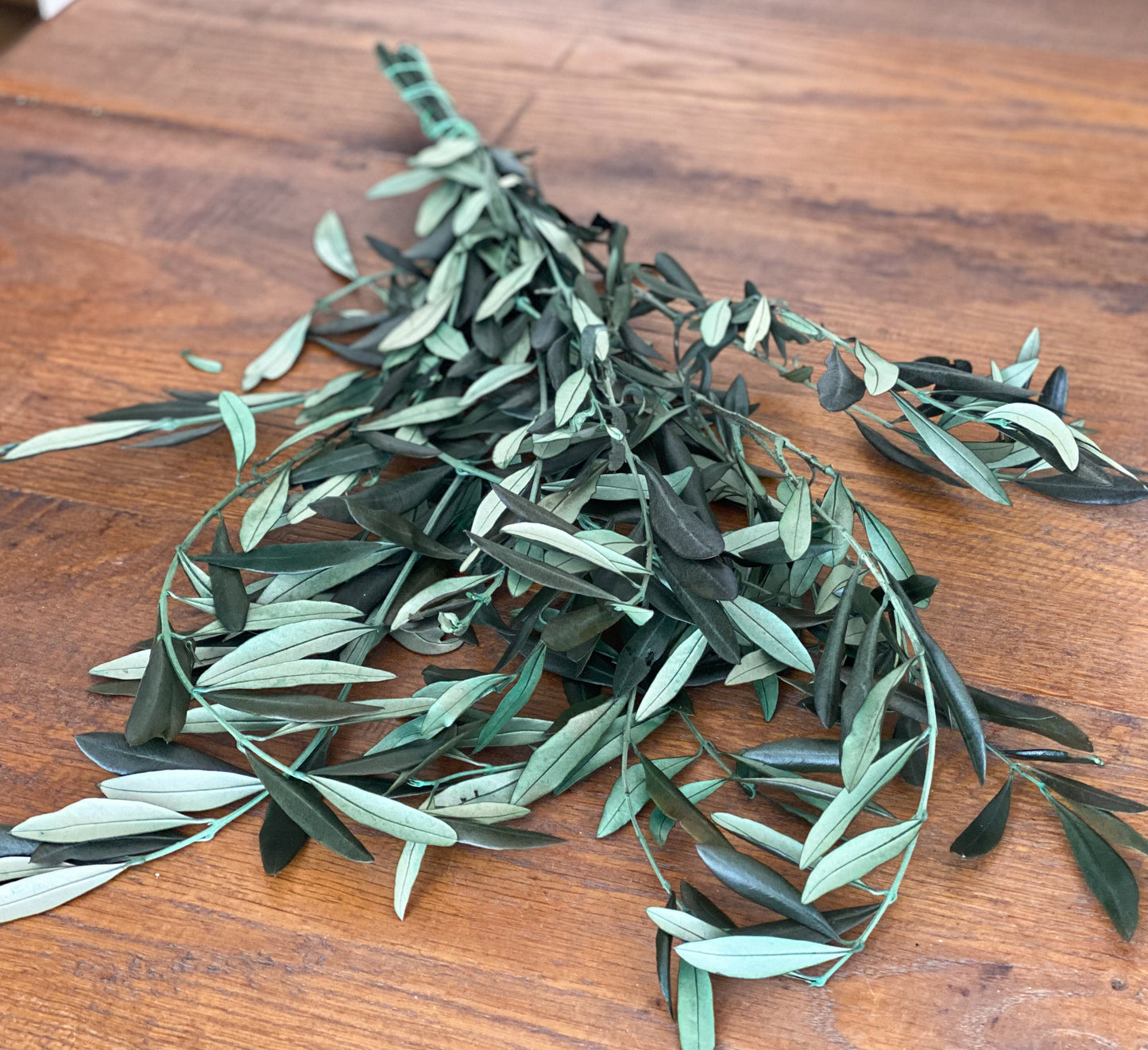 Konservierte Olivenzweige, Olive als Trockenblumen