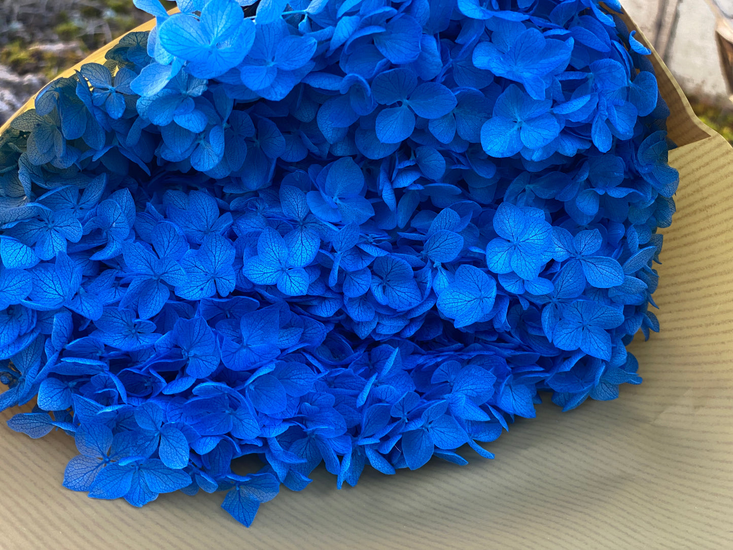 Stabilisierte konservierte Hortensie in Rosa, Trockenblumen