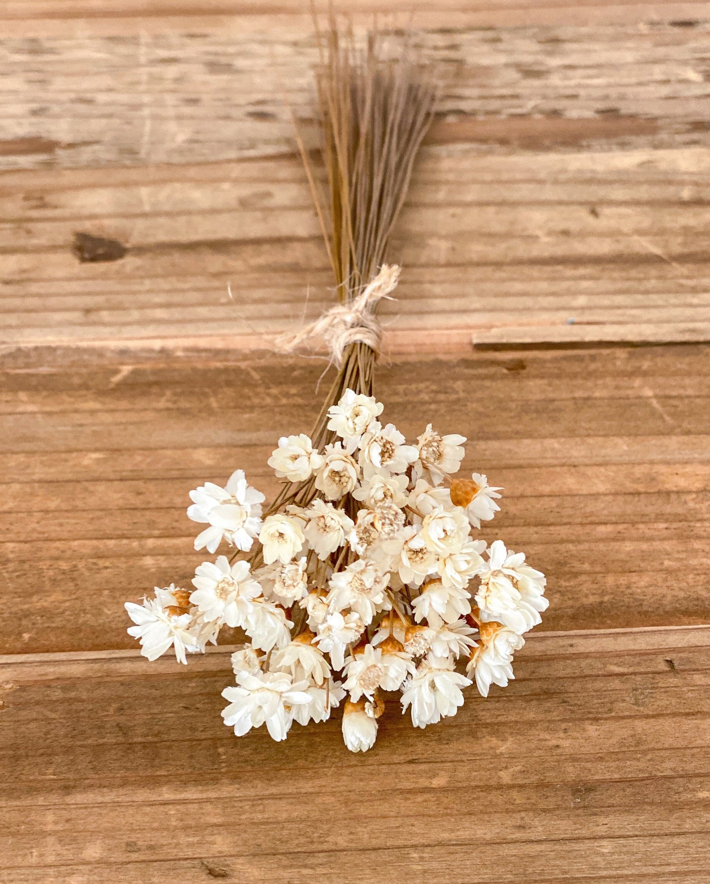 Lagurus, Phalaris, Glixia natur, Marcela Trockenblumen, Trockenblumenstrauß im Boho Style