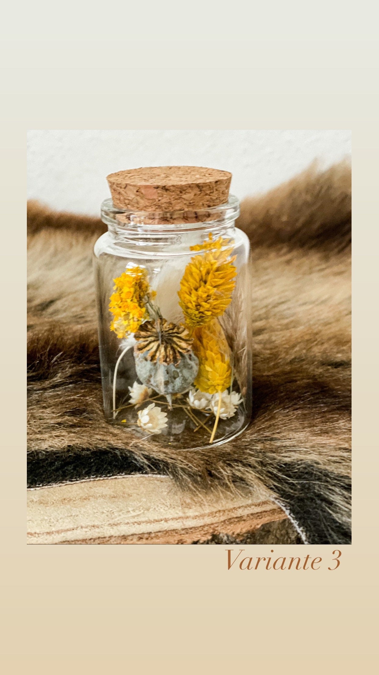Trockenblumen - Sträußchen im Glas dry flowers in verschiedenen Farben, Trockenblumenstrauß