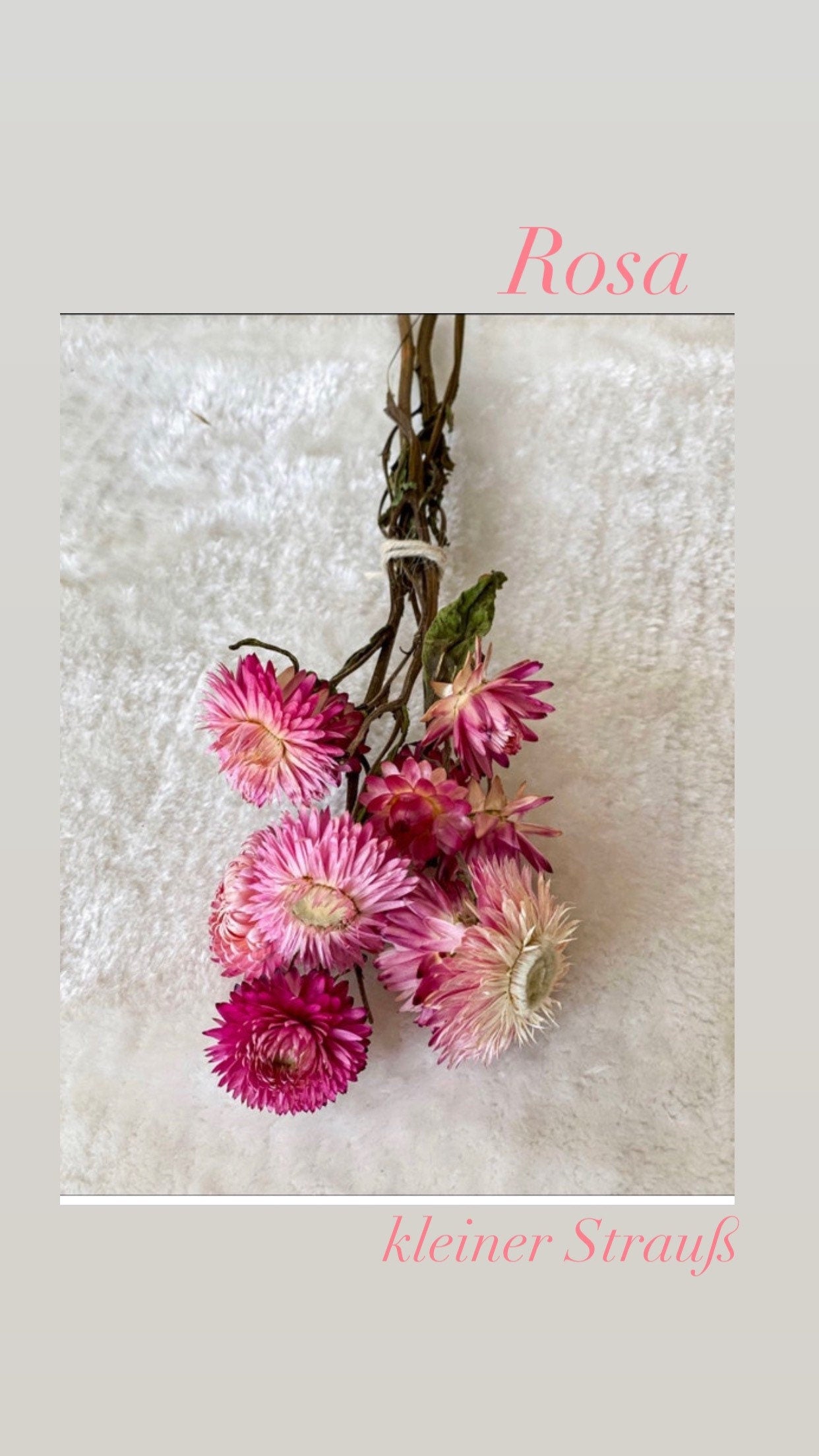 Strohblumen, Xxl-Strauß oder kleine Menge, DIY Trockenblumen, inverschiedenen Farben, DIY-Trockenblumenstrauß, DIY-Trockenblumenkranz