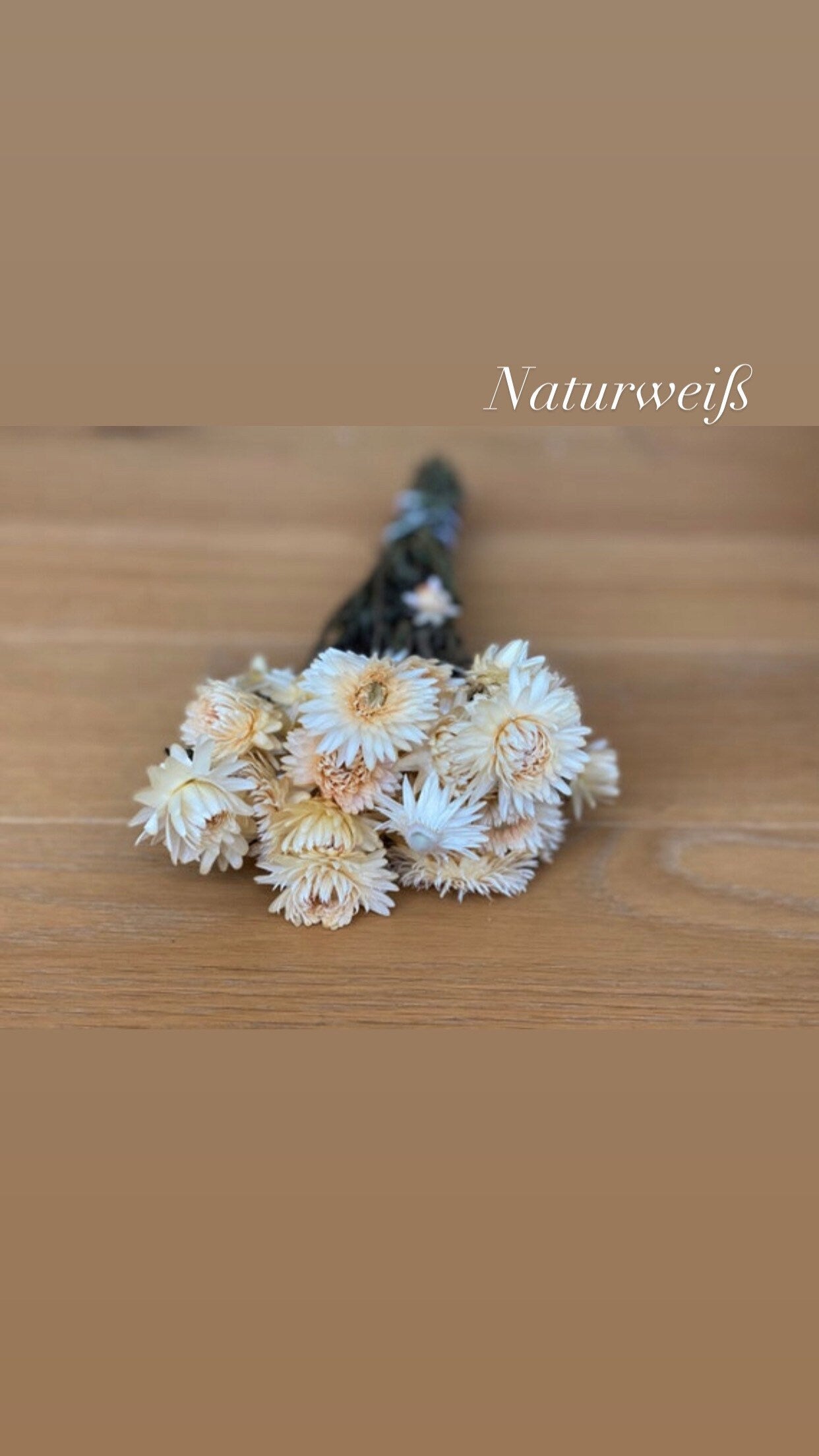 Strohblumen, Xxl-Strauß oder kleine Menge, DIY Trockenblumen, inverschiedenen Farben, DIY-Trockenblumenstrauß, DIY-Trockenblumenkranz