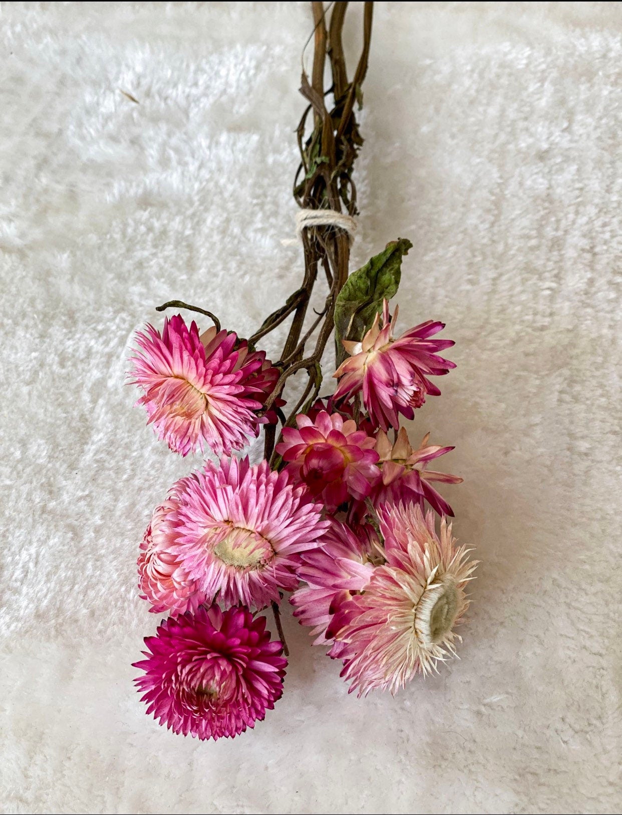Strohblumen, Xxl-Strauß oder kleine Menge, DIY Trockenblumen, inverschiedenen Farben, DIY-Trockenblumenstrauß, DIY-Trockenblumenkranz