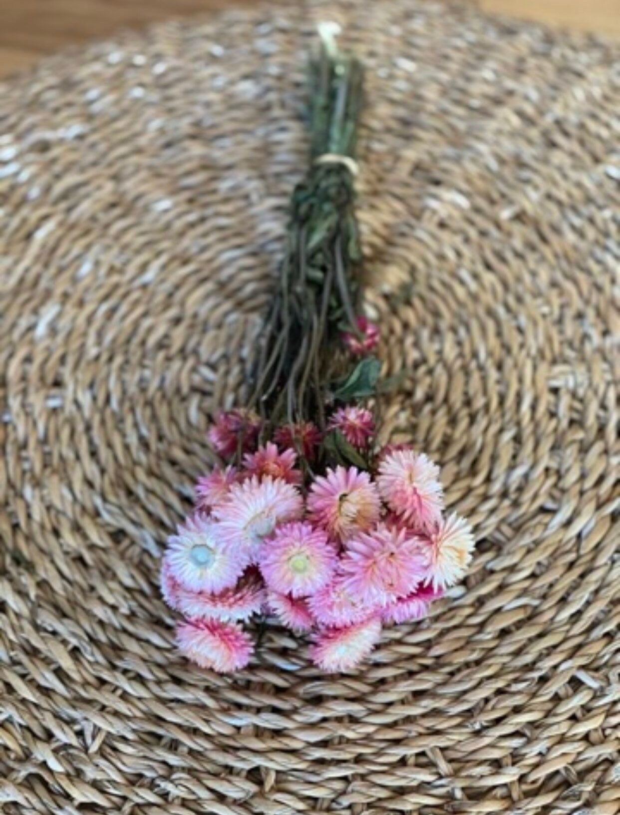 Strohblumen, Xxl-Strauß oder kleine Menge, DIY Trockenblumen, inverschiedenen Farben, DIY-Trockenblumenstrauß, DIY-Trockenblumenkranz