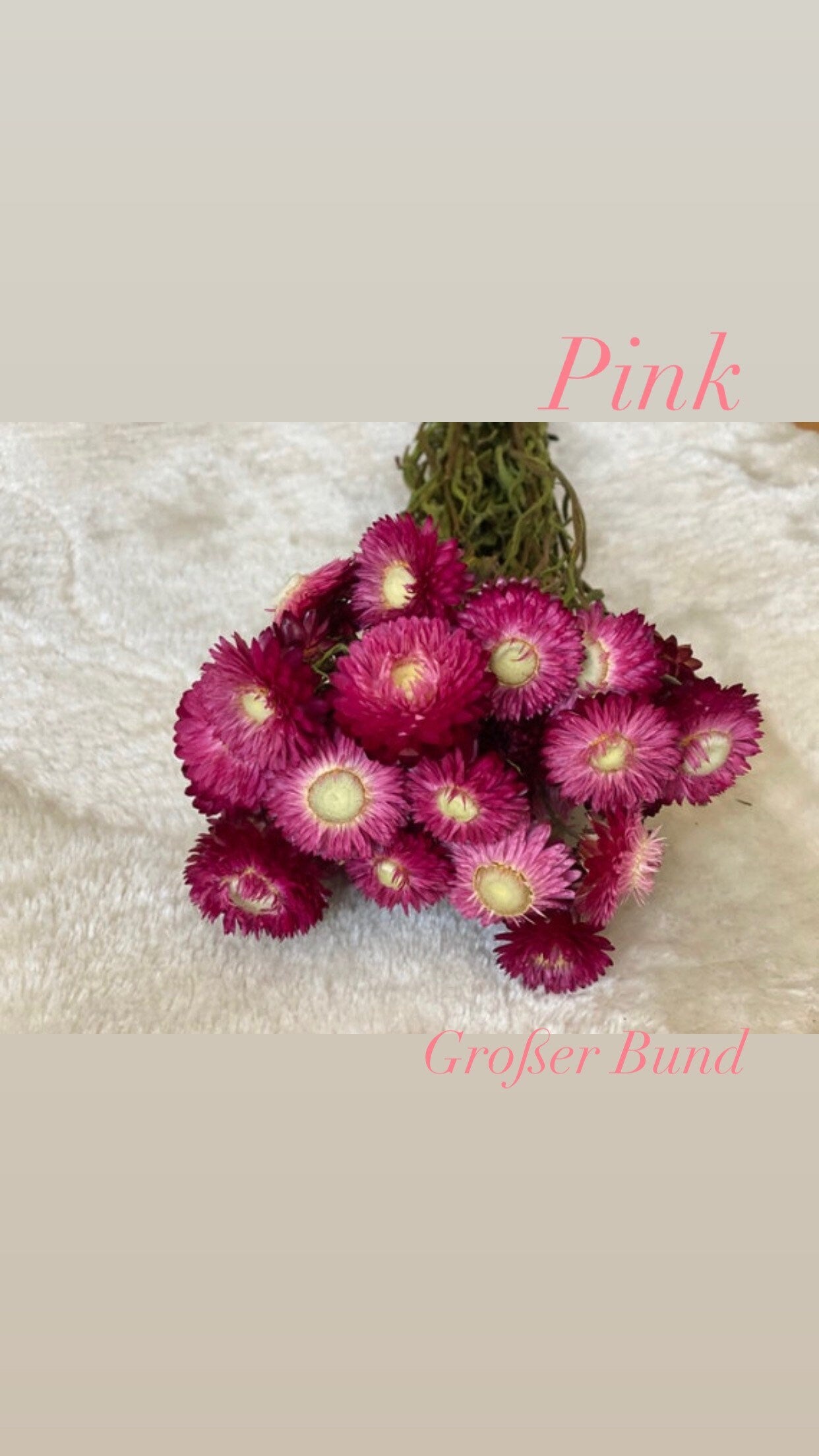 Strohblumen, Xxl-Strauß oder kleine Menge, DIY Trockenblumen, inverschiedenen Farben, DIY-Trockenblumenstrauß, DIY-Trockenblumenkranz