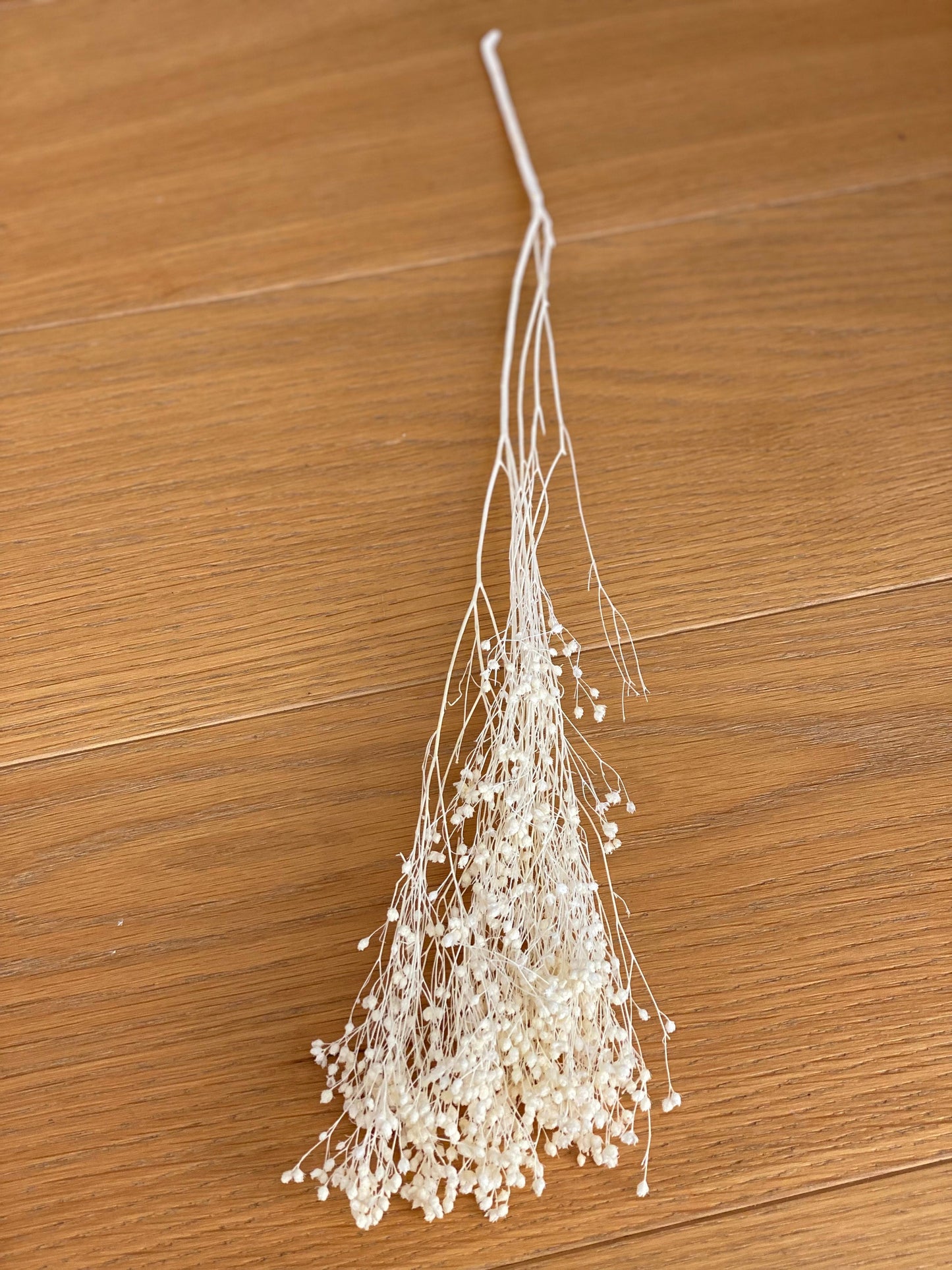 Broom Bloom Trockenblumen Weiß oder Rosa großer Bund oder kleiner Bund