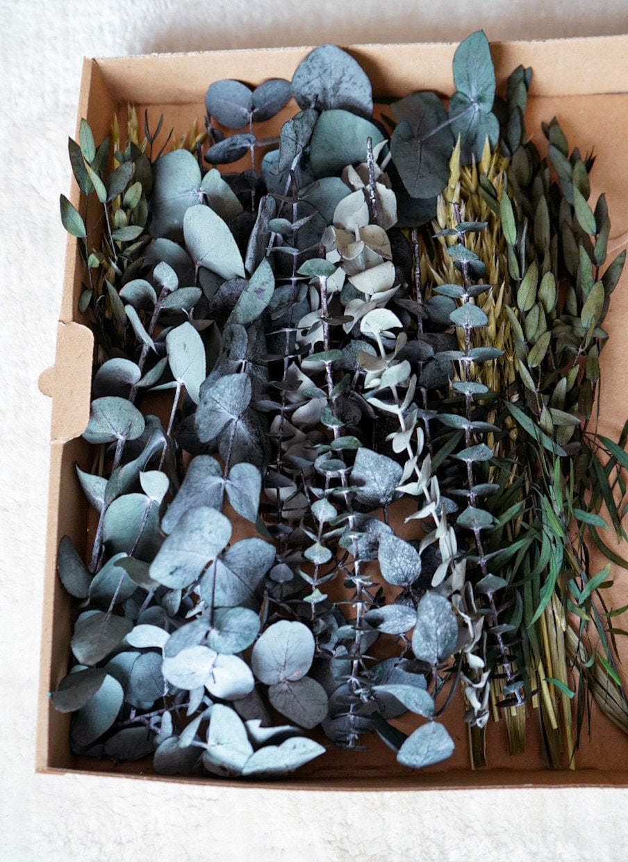 DIY Trockenblumen DIY-Set in „Jungle“ mit verschiedenem Eukalyptus Trockenblumenstrauß, Trockenblumenkranz mit Pampasgras, Lagurus, Phalaris