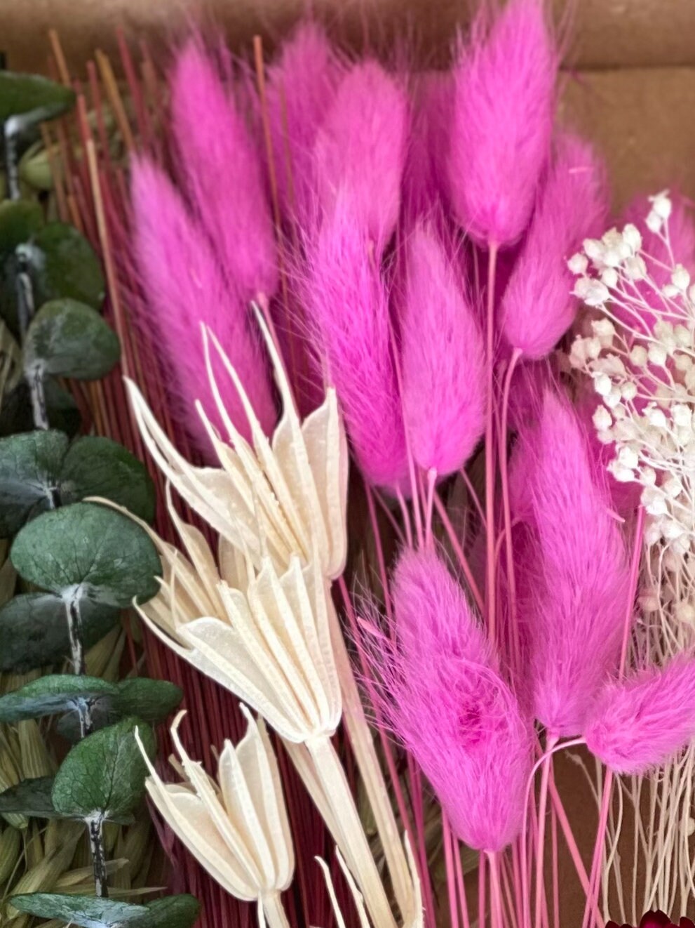 Lagurus in verschiedenen Farben Trockenblumen für Wohndekor oder Trockenblumenarrangements
