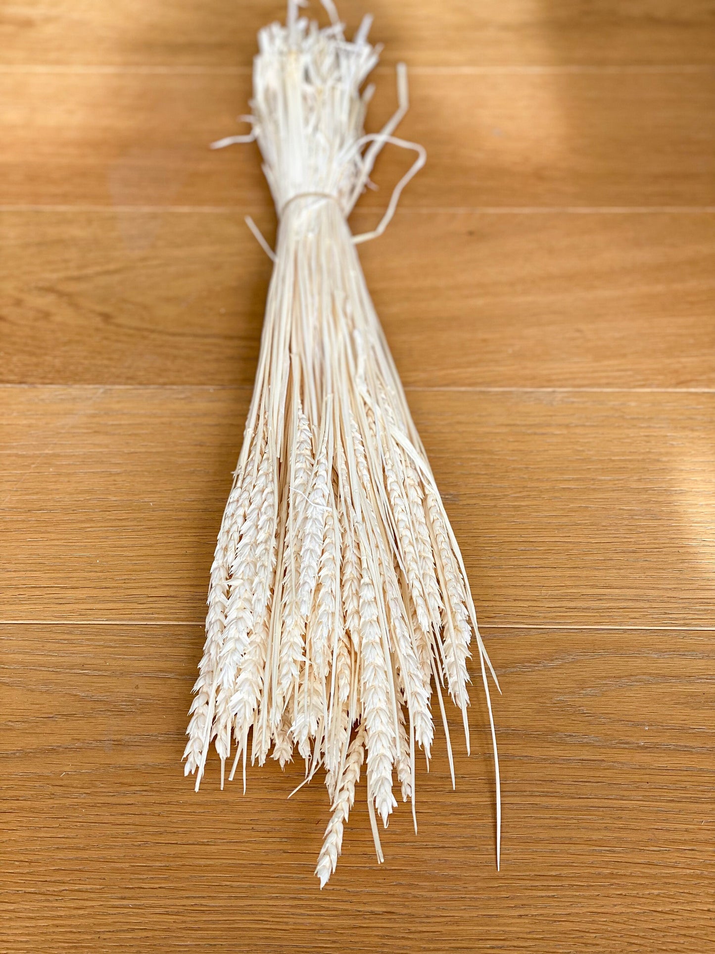 Weizen in Weiß gebleicht, Trockenblumen, getrocknete qualitativ hochwertige Trockenblumen