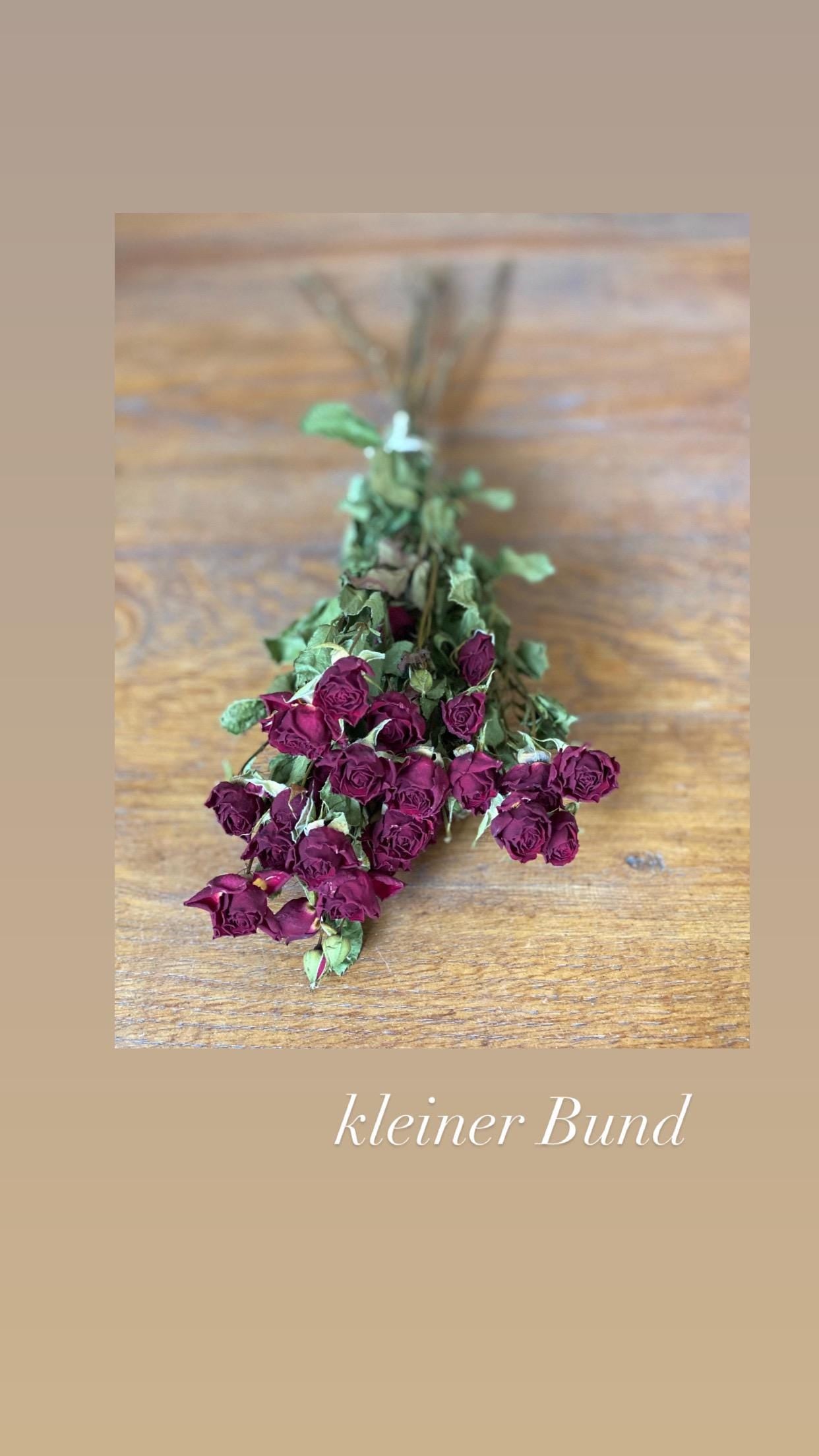 Rose Trockenblumen in Rot oder Rosa großer Bund und kleiner Bund