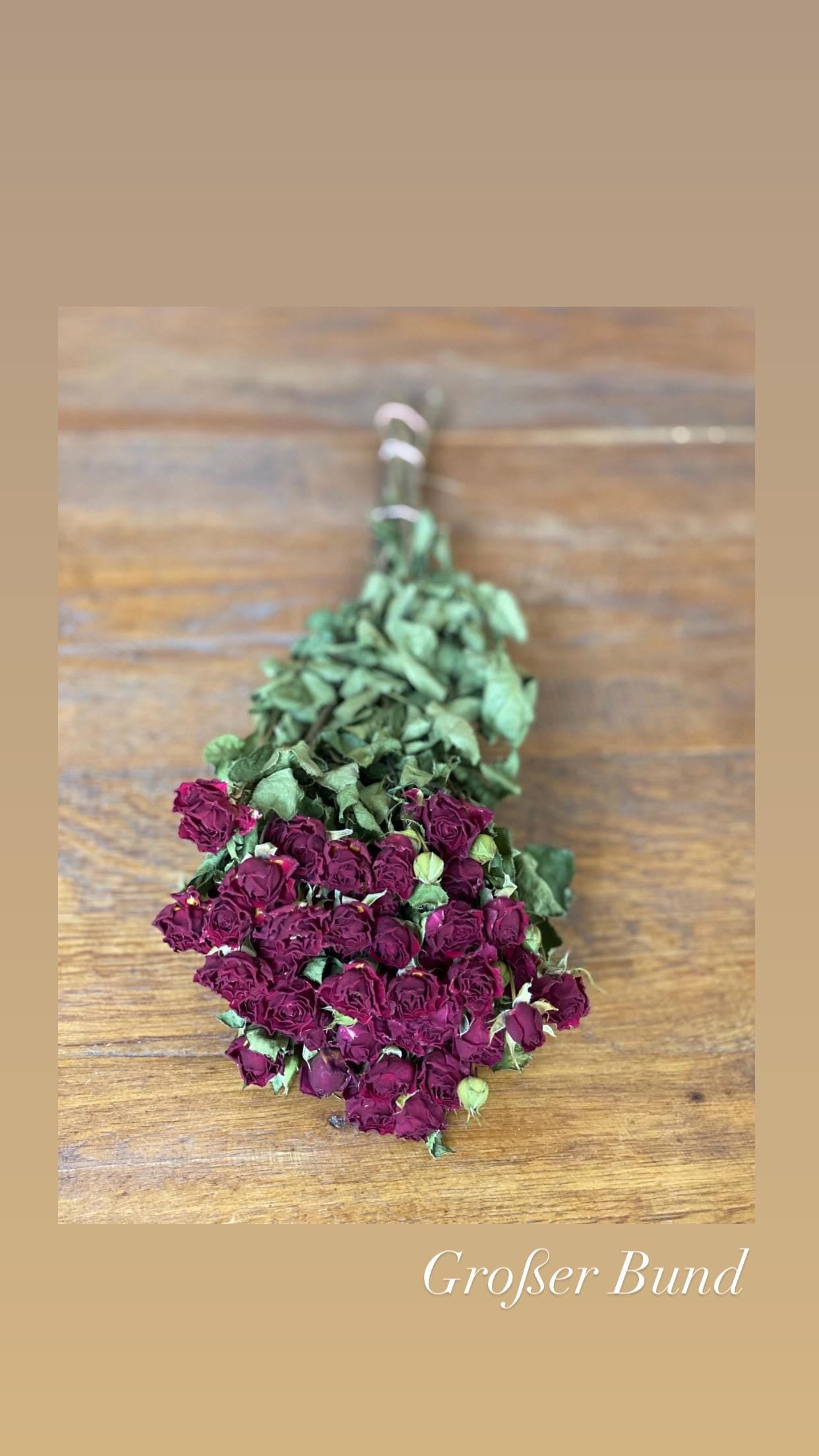 Rose Trockenblumen in Rot oder Rosa großer Bund und kleiner Bund