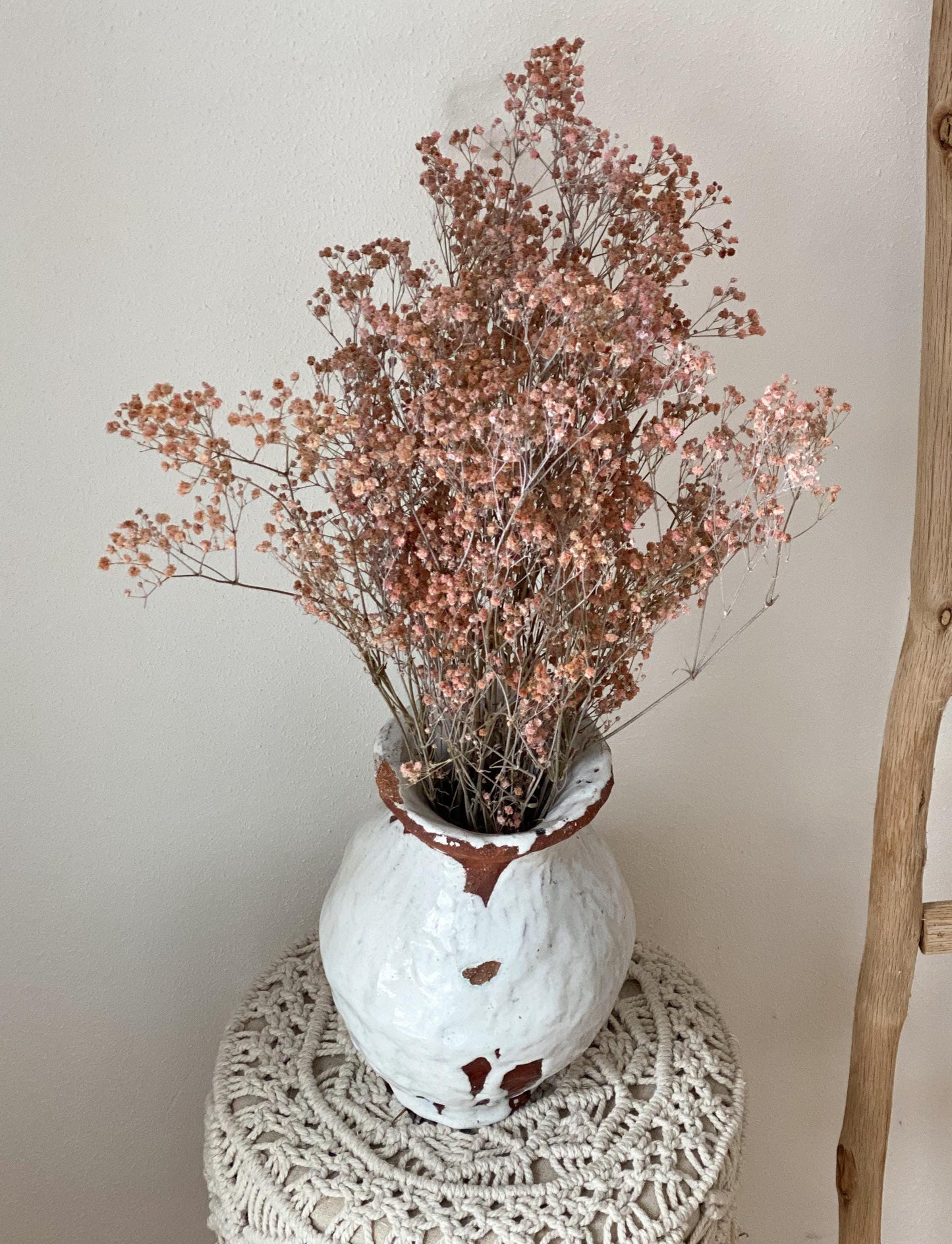 Schleierkraut, Gypsophila Weiß oder Rosa großer Bund oder kleiner Bund, Schleierkraut konserviert