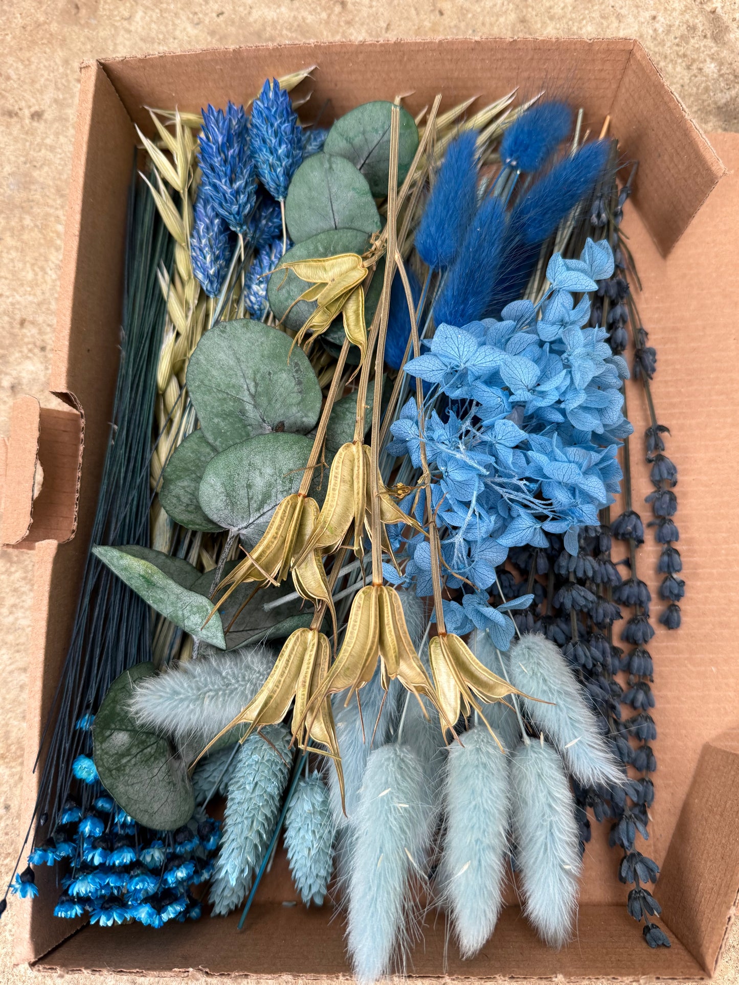 DIY Trockenblumen DIY-Set „Blue & Green“ in Naturfarben, DIY-Trockenblumenstrauß, diy-Trockenblumenkranz mit Lagurus, Lavendel, Phalaris