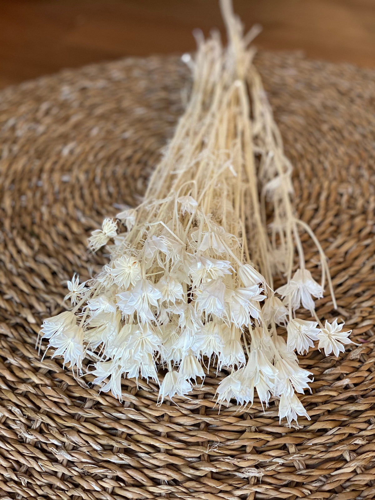Nigella Trockenblumen Weiß oder Natur gebleicht großer Bund oder Stil