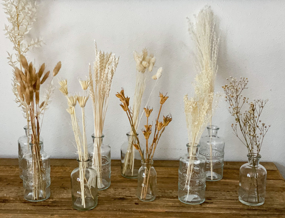 Trockenblumen in Weiß und Beige in kleinen Mengen für Wohndekor oder Trockenblumenarrangements
