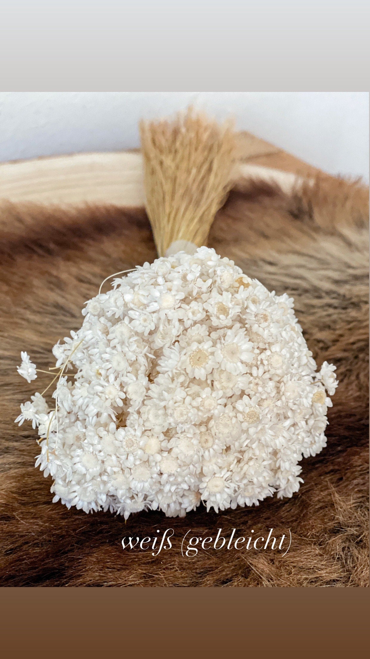 Glixia in Naturfarben, Rosa oder Lila - Marcela Trockenblumen, Trockenblumenstrauß im Boho Style