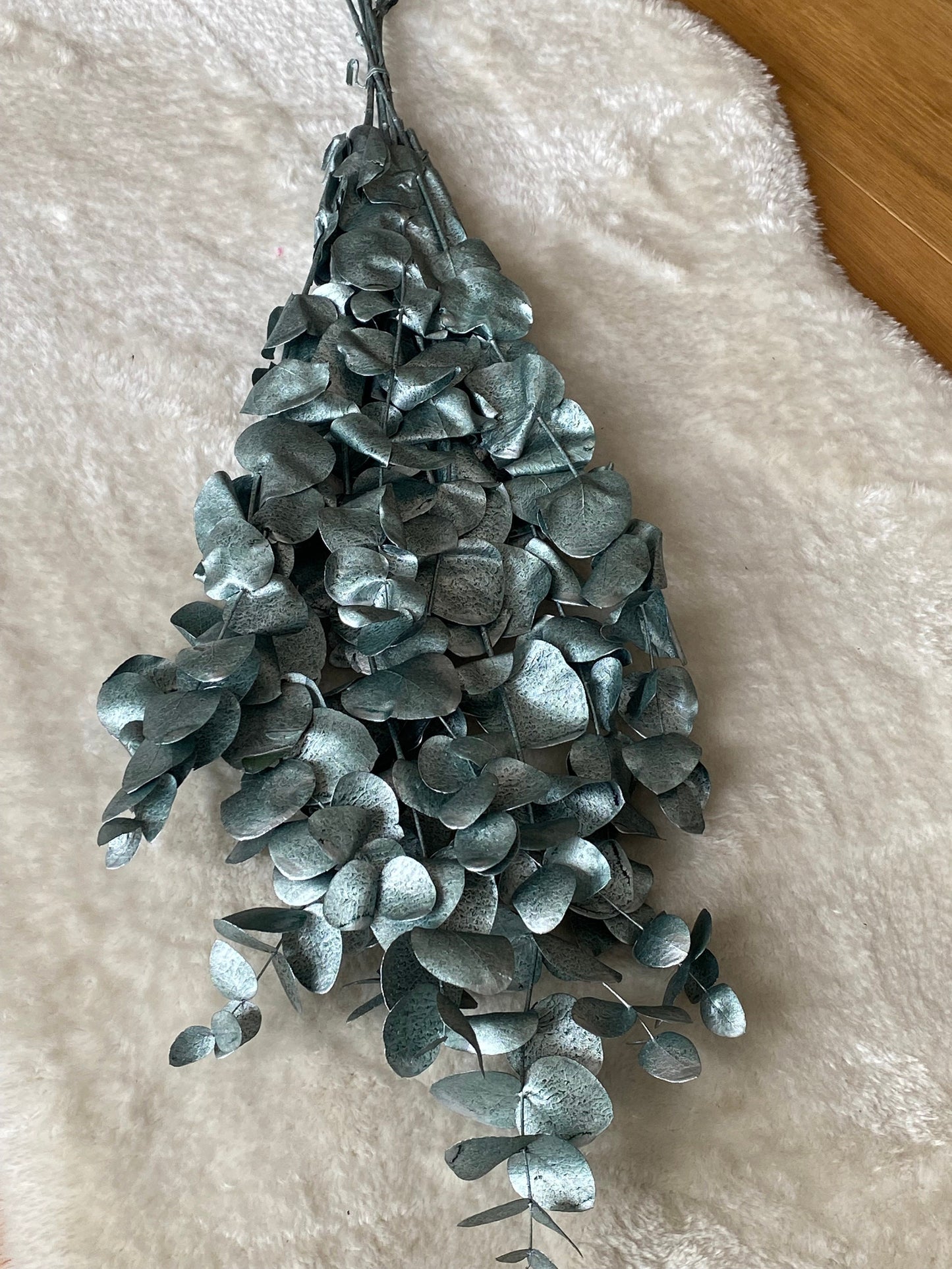 Eukalyptus Cinerea grün metallic, konservierter Eukalyptus, Trockenblumen glänzend grün/Silber, Winter