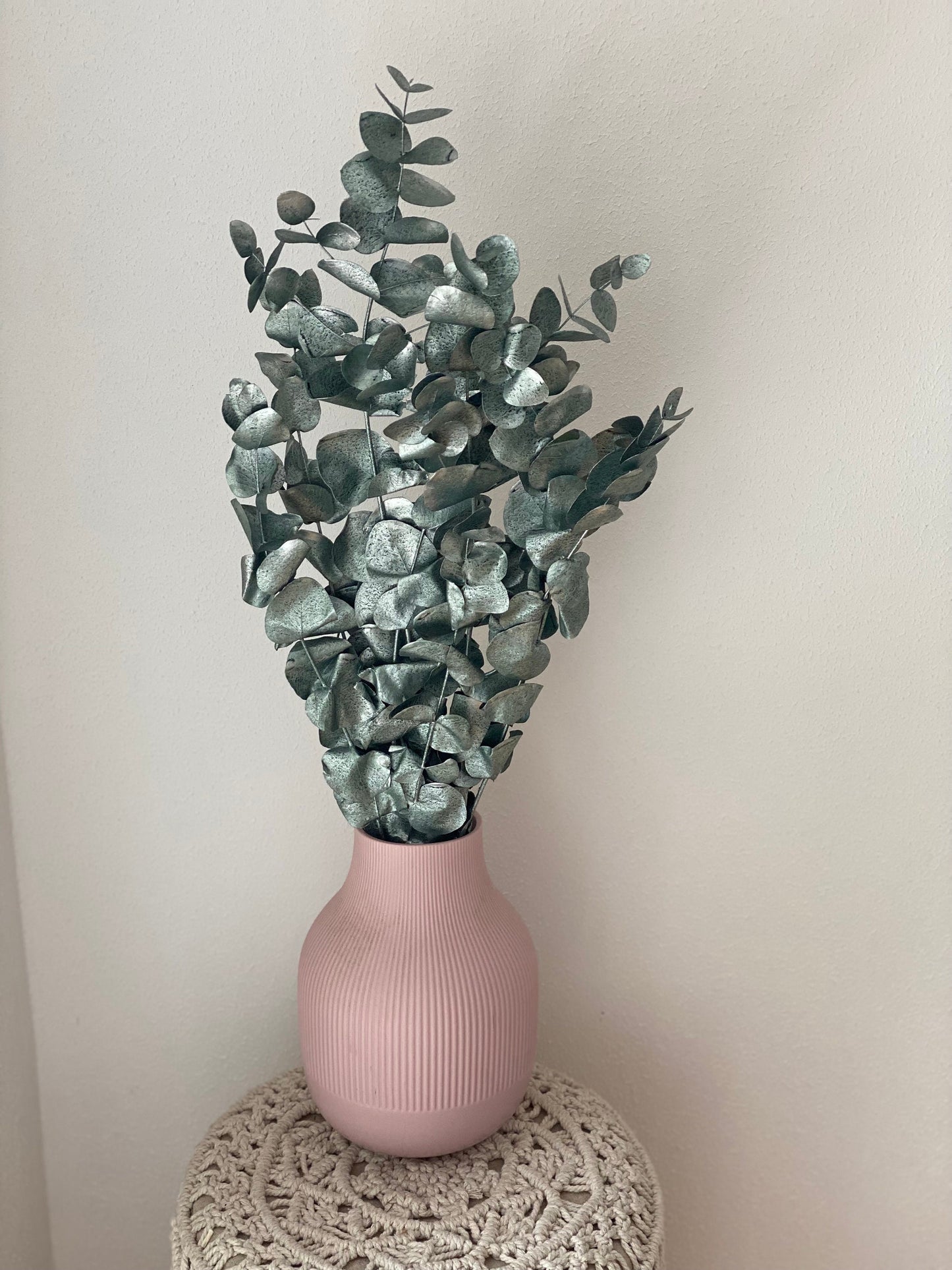 Eukalyptus Cinerea grün metallic, konservierter Eukalyptus, Trockenblumen glänzend grün/Silber, Winter