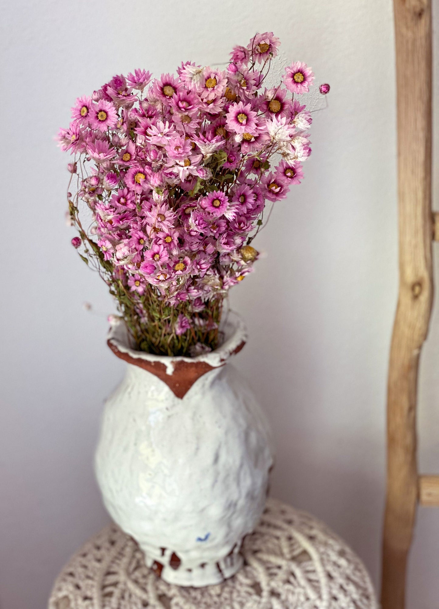 XL-Strauß Rhodante Trockenblumen Weiß oder Rosa  großer Bund