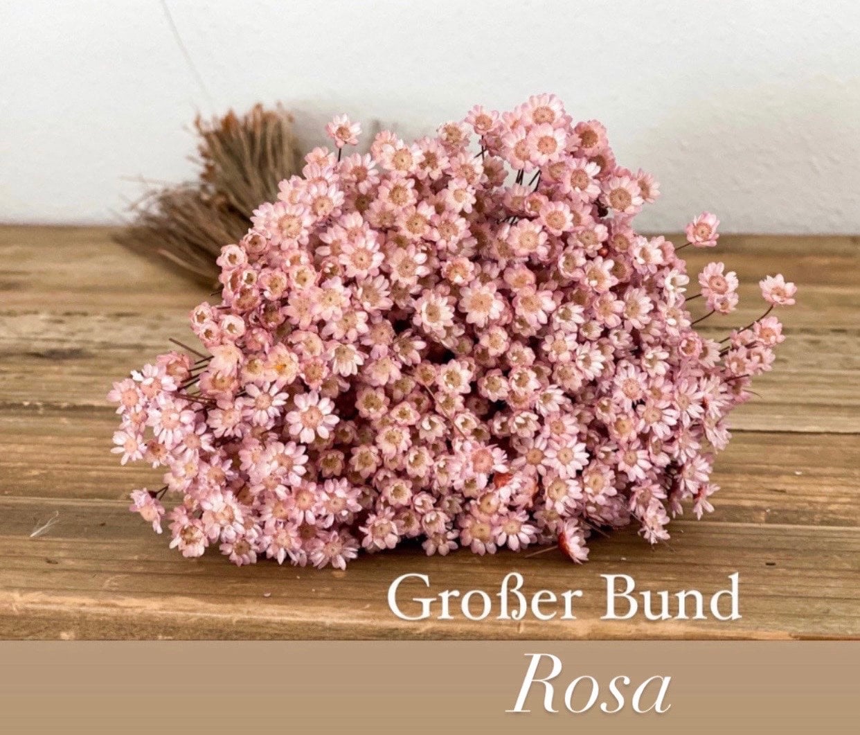 Glixia in Naturfarben, Rosa oder Lila - Marcela Trockenblumen, Trockenblumenstrauß im Boho Style
