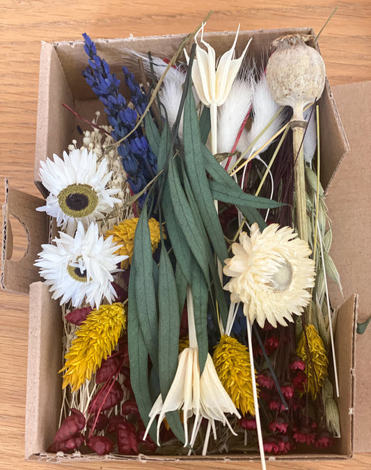 DIY Trockenblumen DIY-Set „Stilecht“, DIY-Trockenblumenstrauß, Trockenblumenkranz mit Broom Bloom, Lagurus , Strohblumen, Phalaris