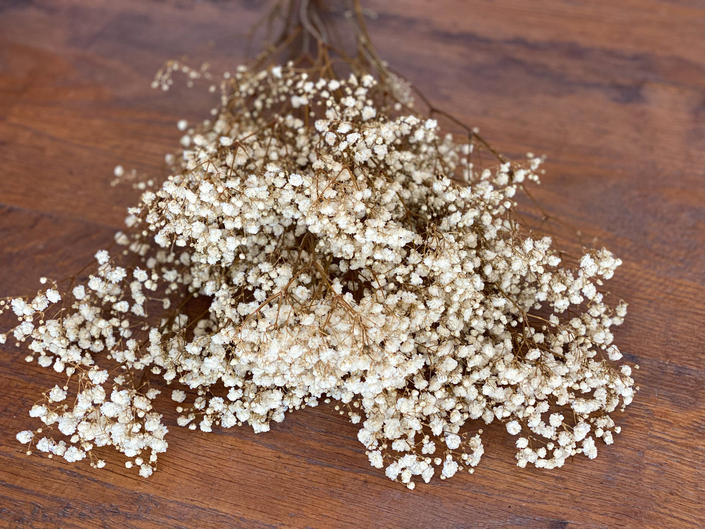 Schleierkraut, Gypsophila Weiß oder Rosa  großer Bund oder kleiner Bund, Schleierkraut konserviert
