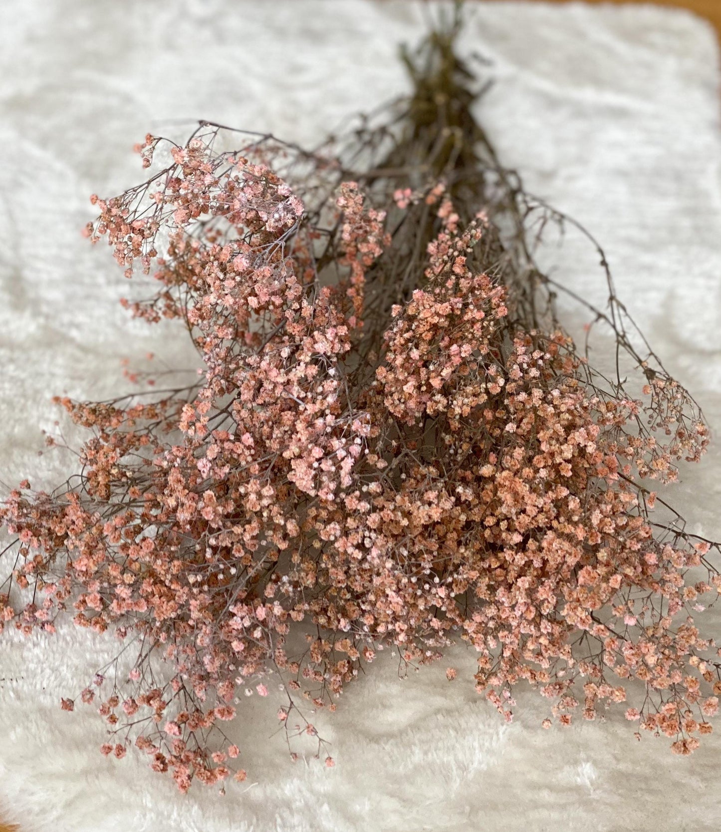 Schleierkraut, Gypsophila Weiß oder Rosa  großer Bund oder kleiner Bund, Schleierkraut konserviert