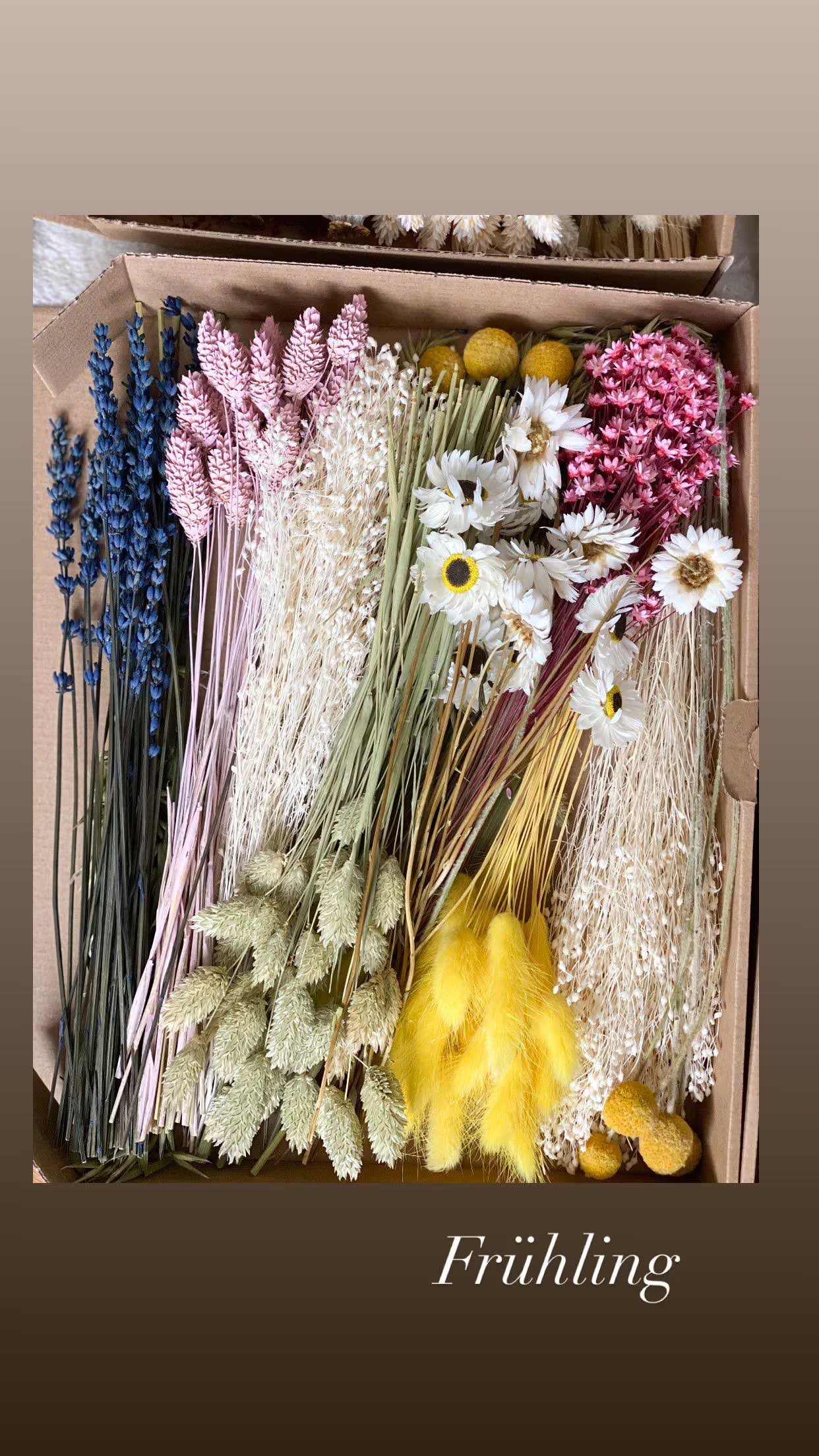 DIY Trockenblumen DIY-Set „Vier Jahreszeiten“in bunten und verschiedenen Farben, DIY-Trockenblumenstrauß, Trockenblumenkranz