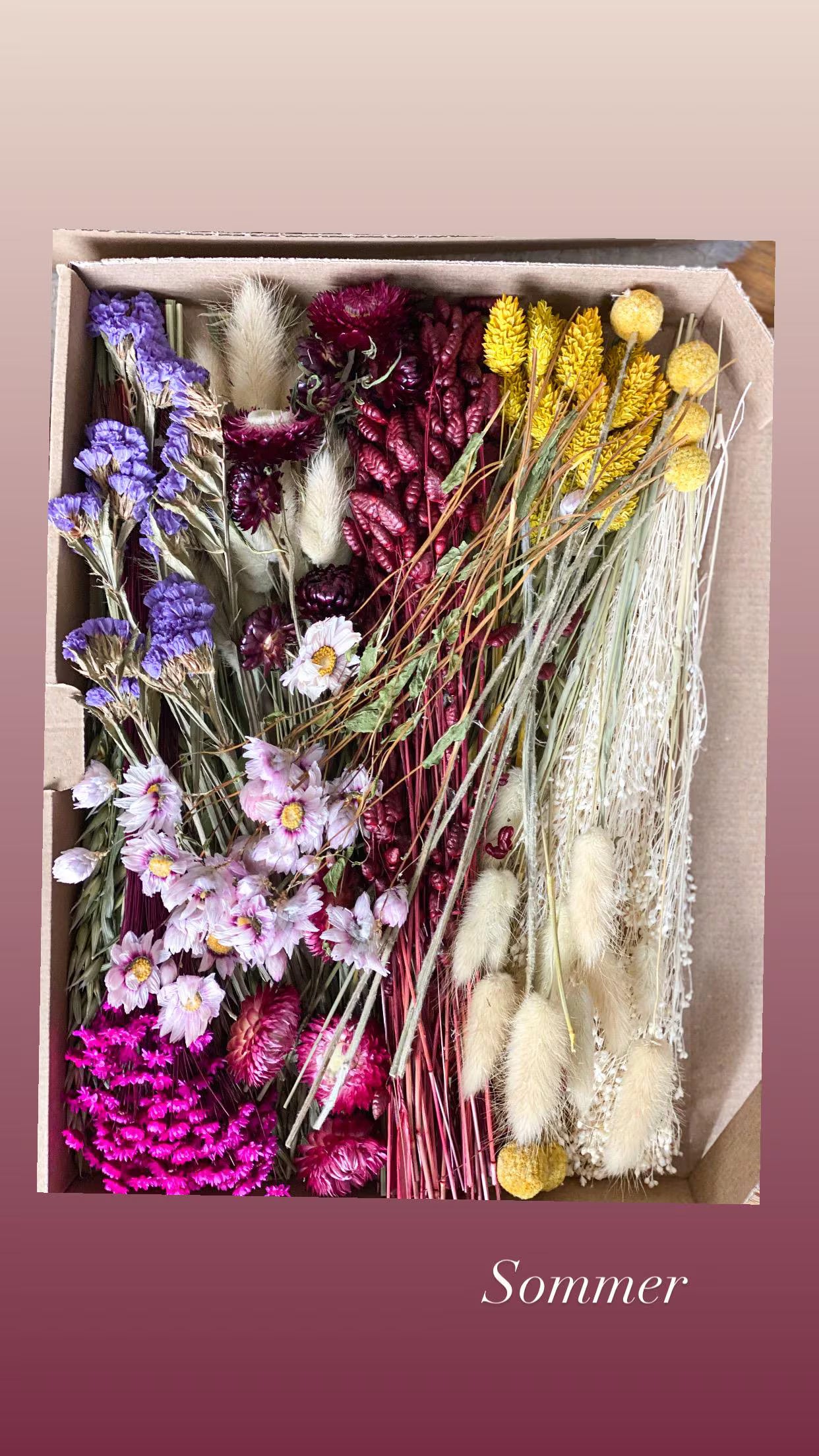 DIY Trockenblumen DIY-Set „Vier Jahreszeiten“in bunten und verschiedenen Farben, DIY-Trockenblumenstrauß, Trockenblumenkranz