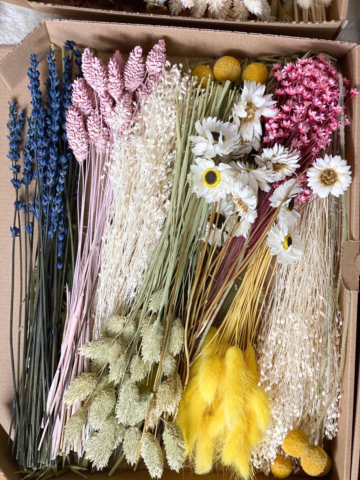 DIY Trockenblumen DIY-Set „Vier Jahreszeiten“in bunten und verschiedenen Farben, DIY-Trockenblumenstrauß, Trockenblumenkranz