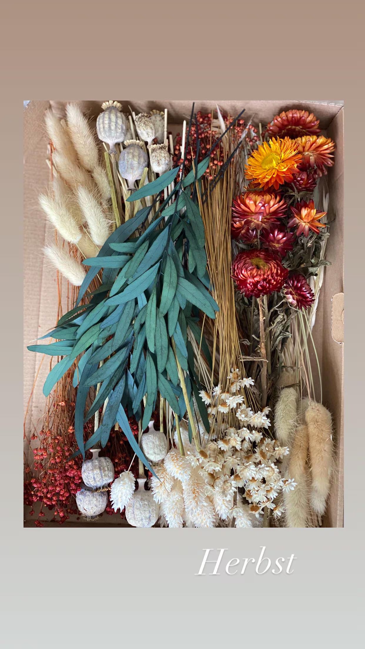 DIY Trockenblumen DIY-Set „Vier Jahreszeiten“in bunten und verschiedenen Farben, DIY-Trockenblumenstrauß, Trockenblumenkranz