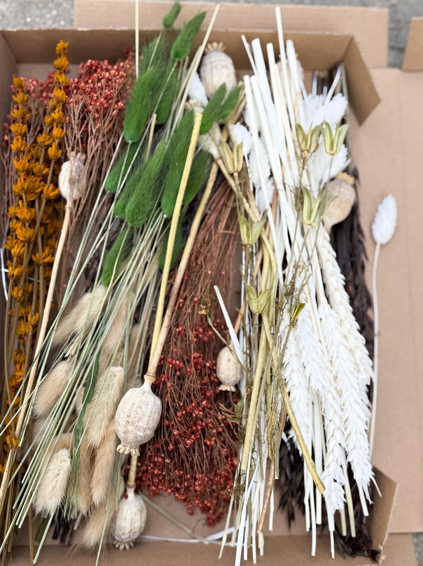 DIY Trockenblumen DIY-Set „Fall“ in Naturfarben, DIY-Trockenblumenstrauß, diy-Trockenblumenkranz mit Lagurus, Broom, Phalaris