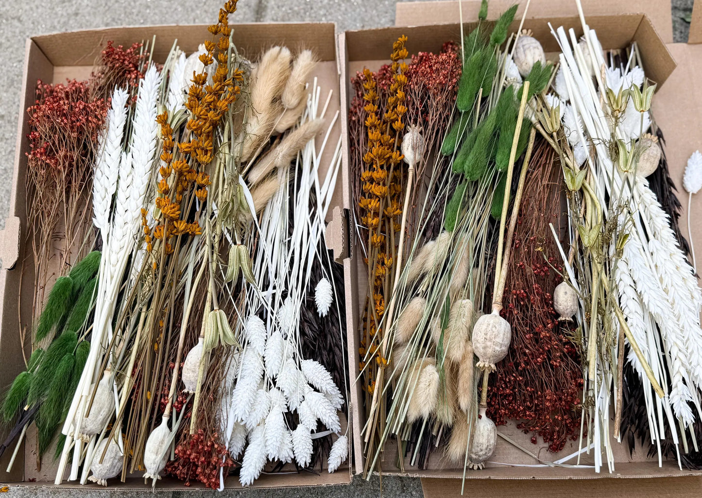 DIY Trockenblumen DIY-Set „Fall“ in Naturfarben, DIY-Trockenblumenstrauß, diy-Trockenblumenkranz mit Lagurus, Broom, Phalaris