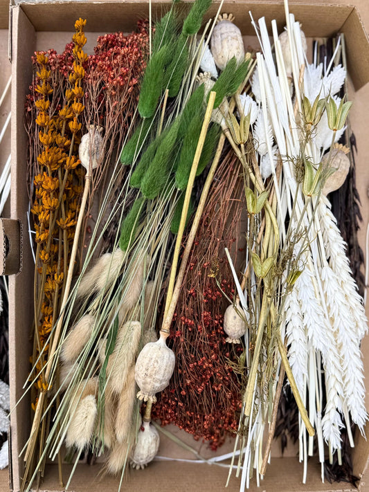 DIY Trockenblumen DIY-Set „Fall“ in Naturfarben, DIY-Trockenblumenstrauß, diy-Trockenblumenkranz mit Lagurus, Broom, Phalaris